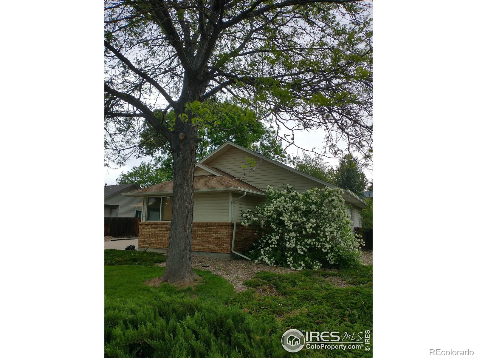 MLS Image #22 for 1727  hoffman drive,loveland, Colorado