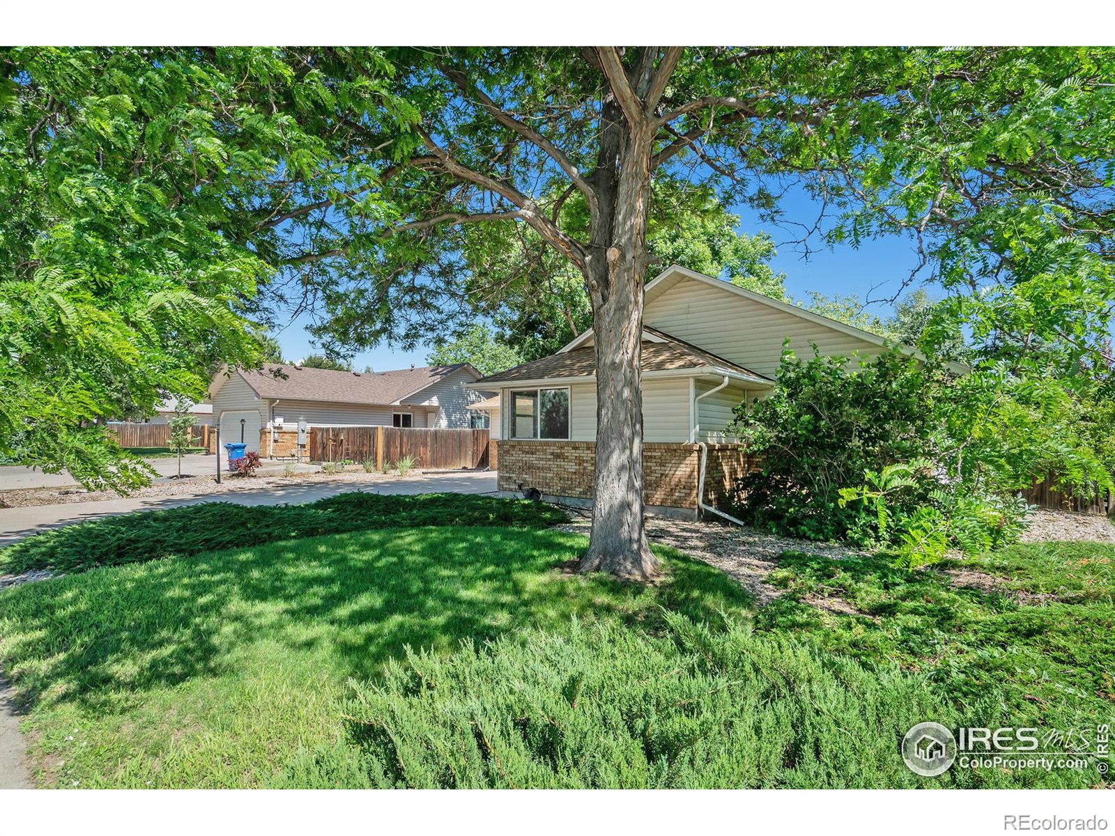 MLS Image #3 for 1727  hoffman drive,loveland, Colorado