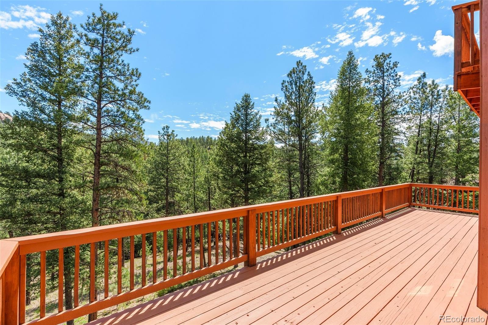 MLS Image #12 for 16468  ouray road,pine, Colorado