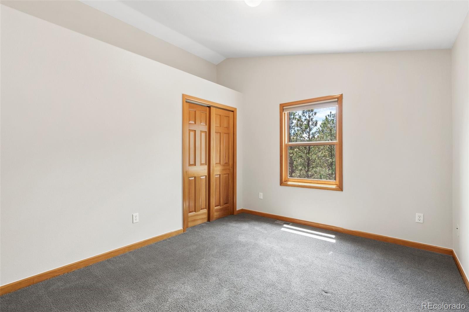 MLS Image #29 for 16468  ouray road,pine, Colorado