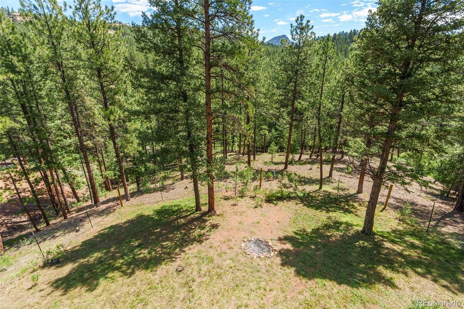 MLS Image #33 for 16468  ouray road,pine, Colorado