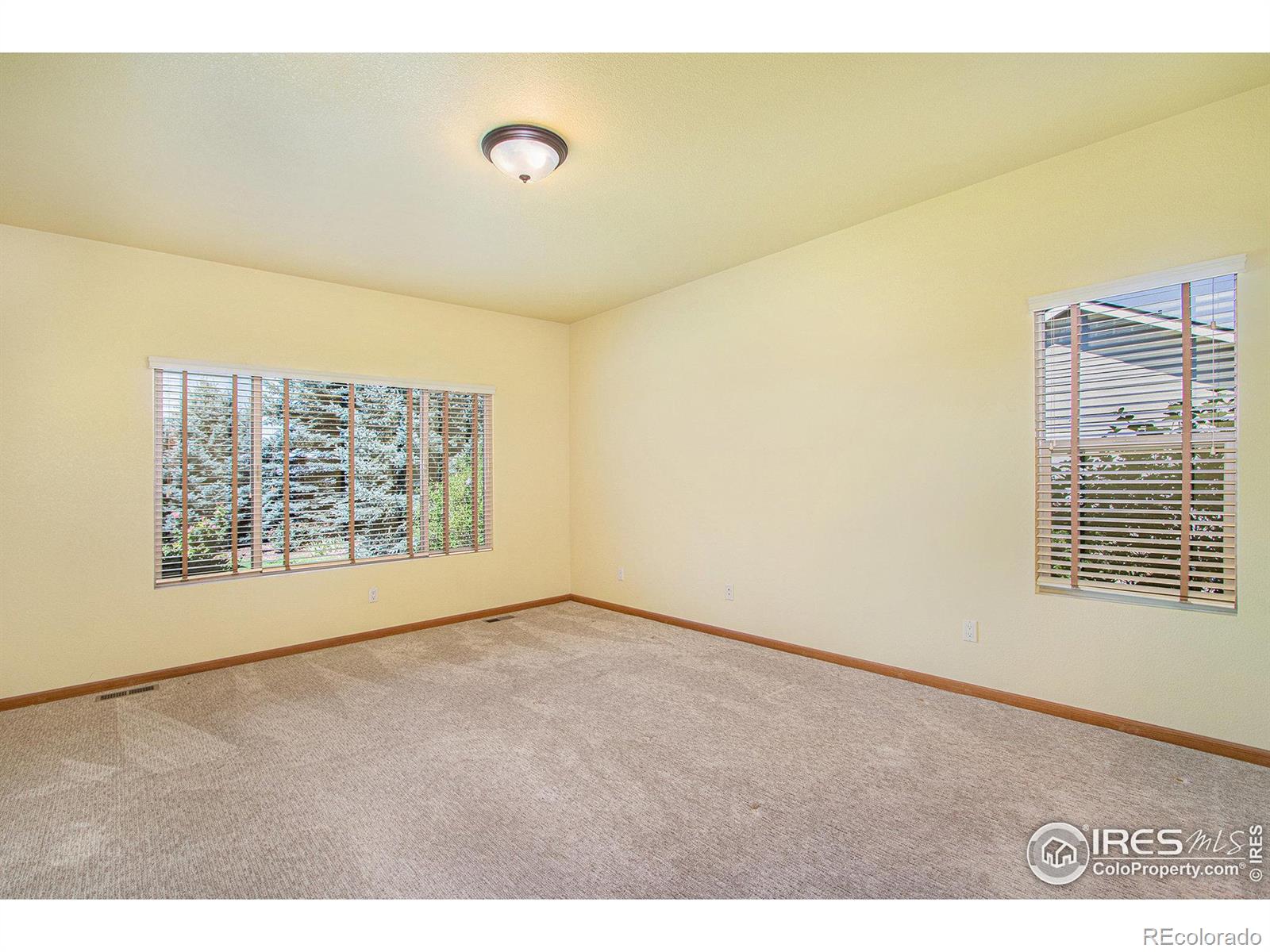 MLS Image #20 for 6675  pumpkin ridge drive,windsor, Colorado