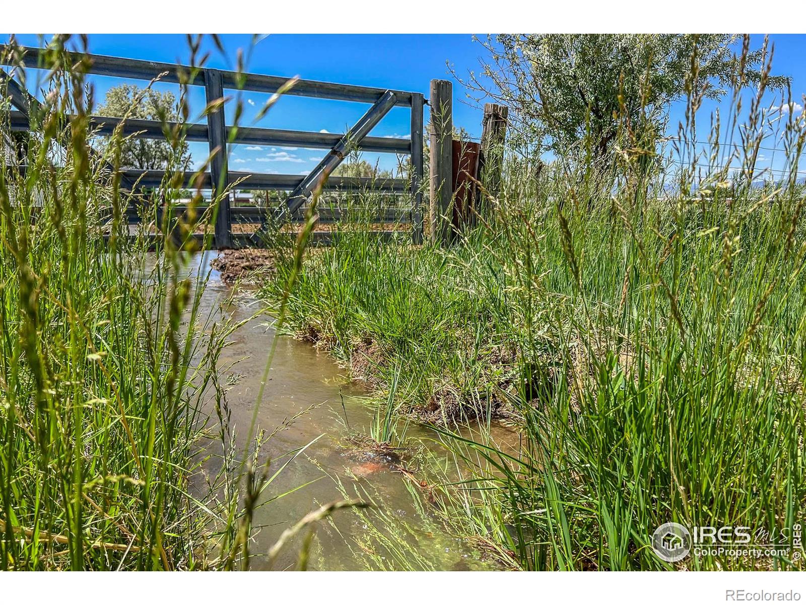 CMA Image for 13601 n 115th street,Longmont, Colorado