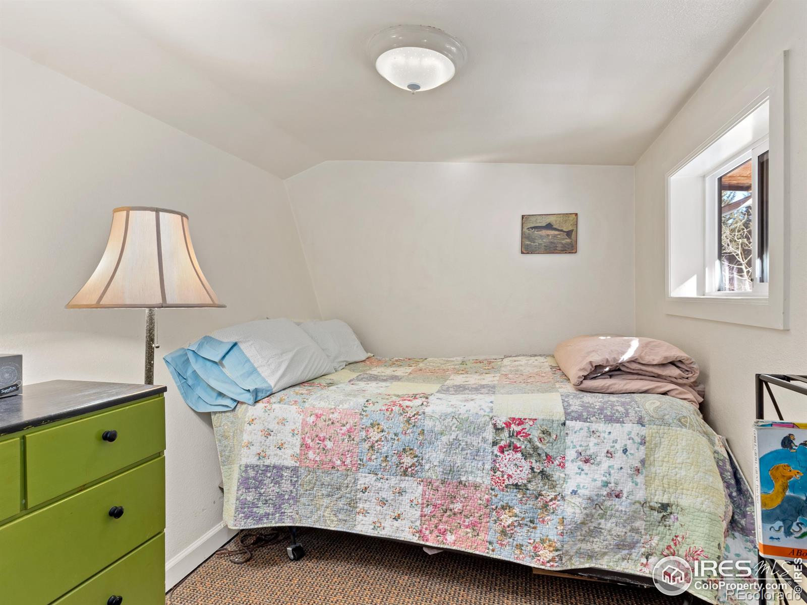 MLS Image #14 for 2817  riverside drive,lyons, Colorado