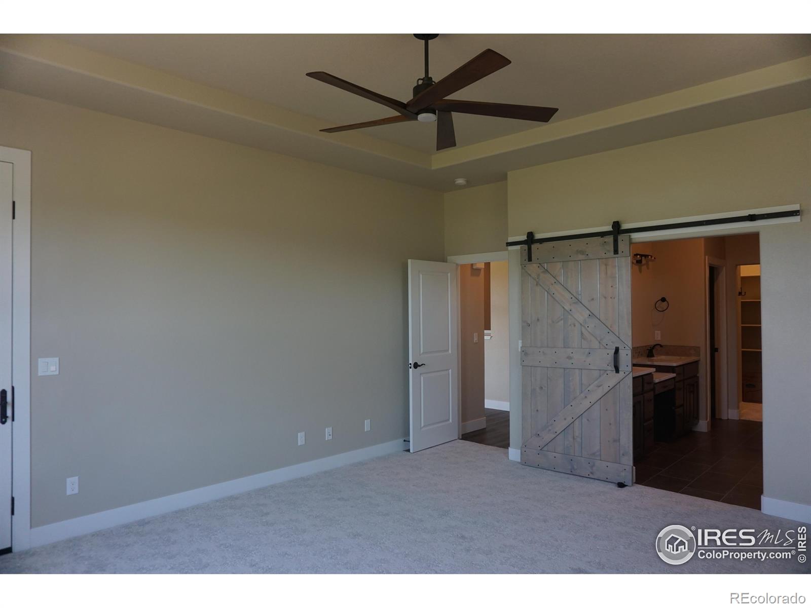 MLS Image #6 for 1131  blue agave court,loveland, Colorado