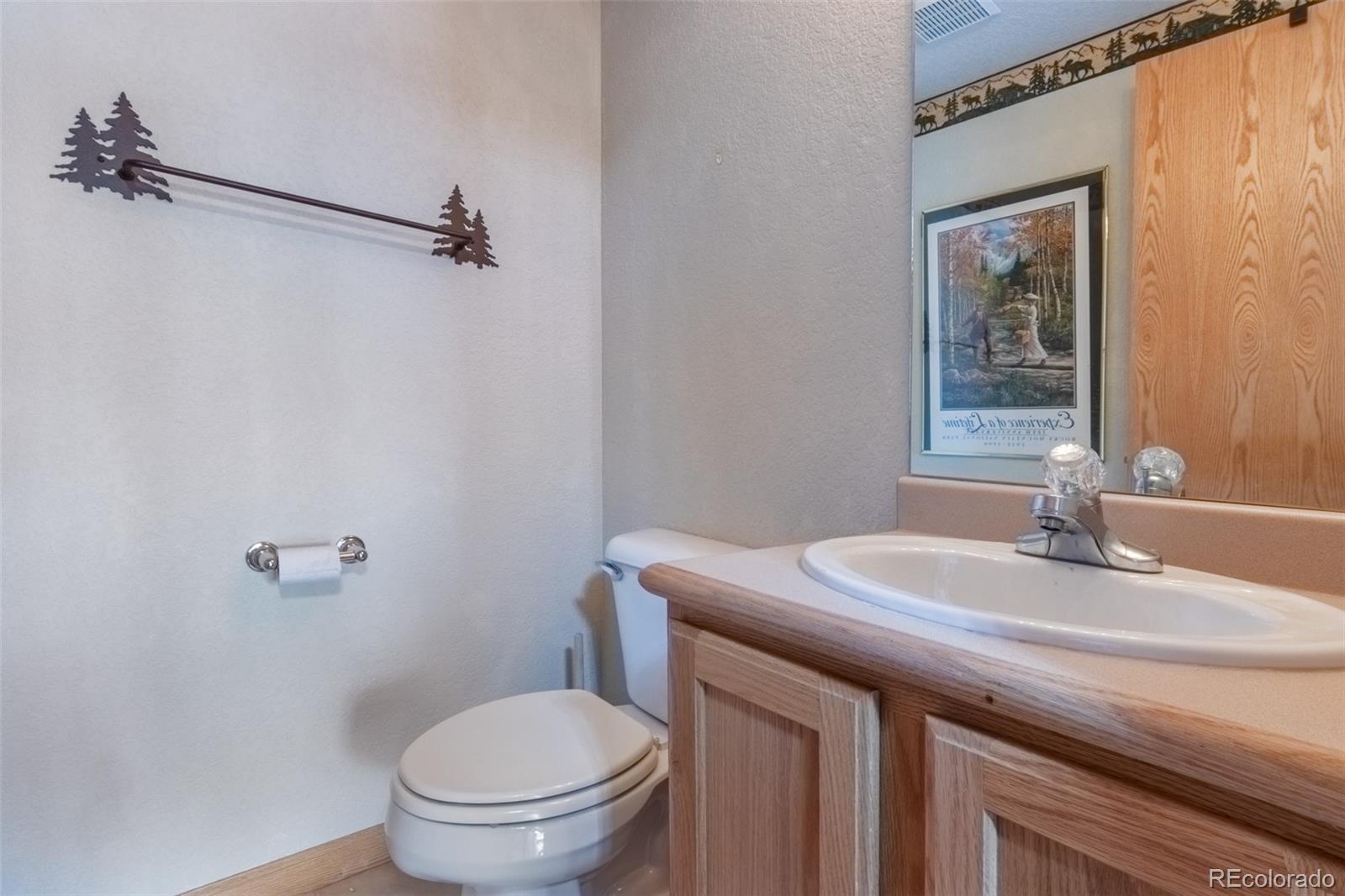 MLS Image #24 for 386  gcr 442 ,grand lake, Colorado