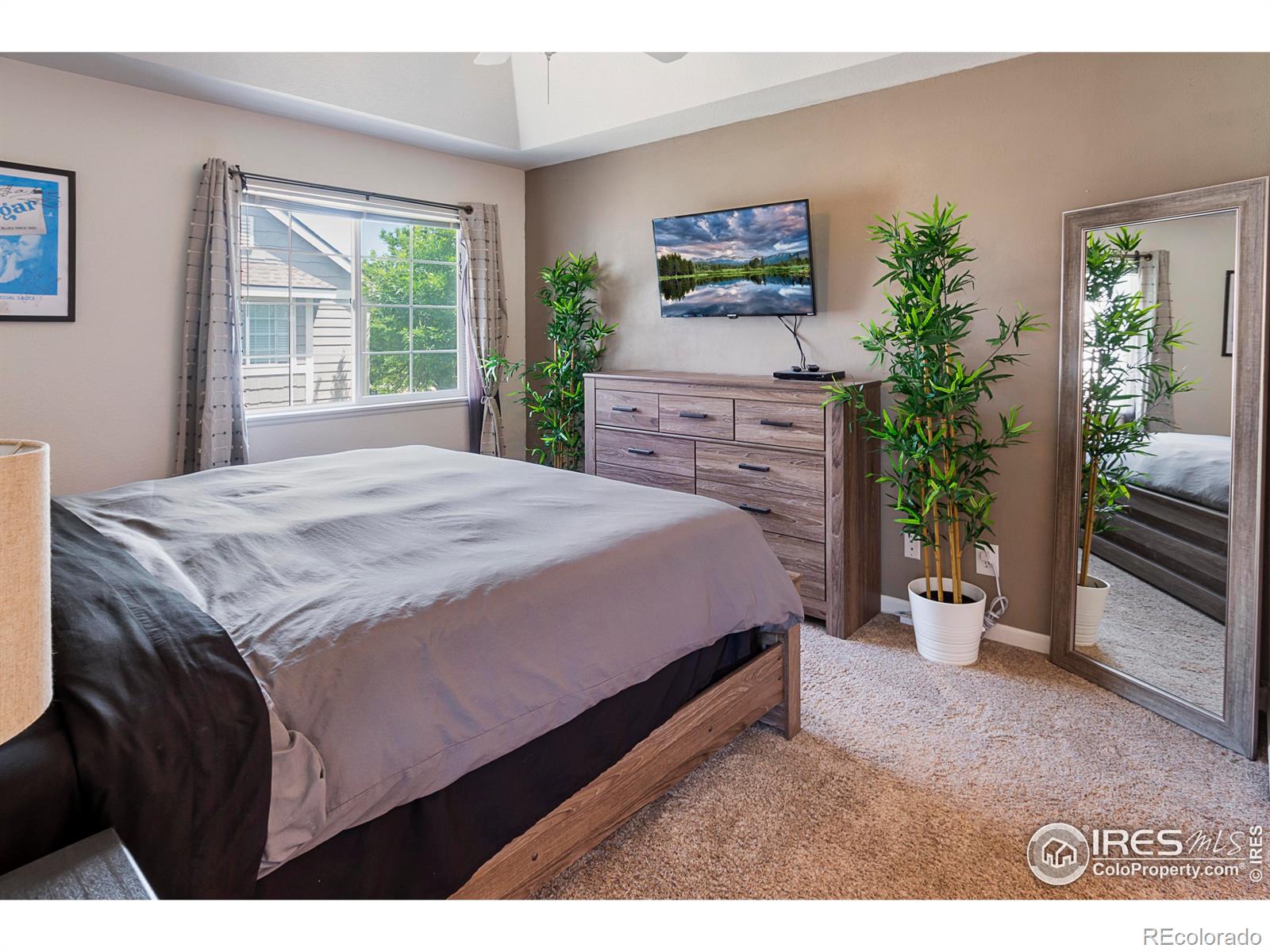 MLS Image #9 for 2120  timber creek drive,fort collins, Colorado