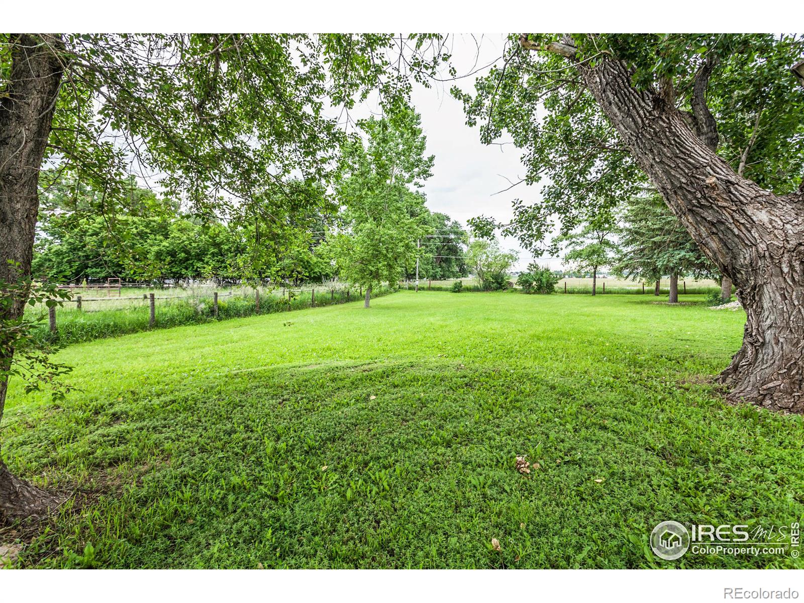 MLS Image #31 for 3909 n county road 19 ,fort collins, Colorado