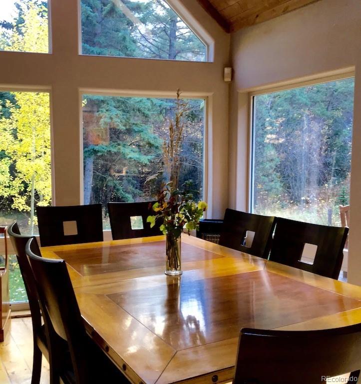 MLS Image #10 for 137  fall river road,idaho springs, Colorado