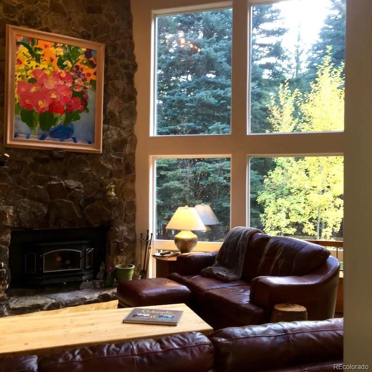 MLS Image #12 for 137  fall river road,idaho springs, Colorado