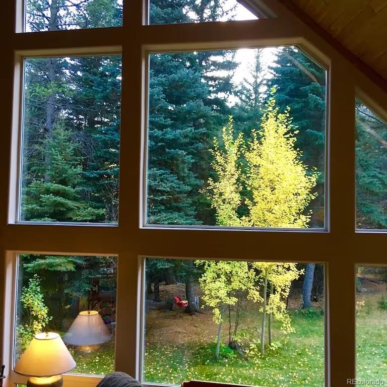 MLS Image #13 for 137  fall river road,idaho springs, Colorado