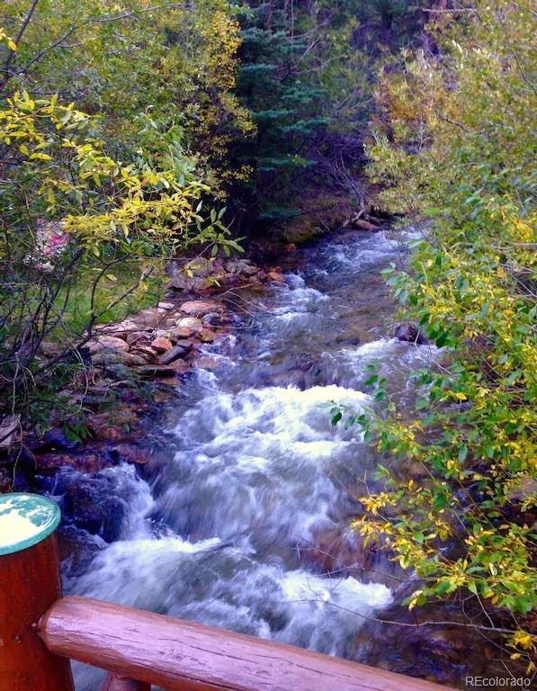 MLS Image #17 for 137  fall river road,idaho springs, Colorado