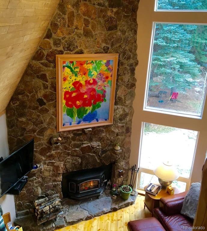 MLS Image #19 for 137  fall river road,idaho springs, Colorado