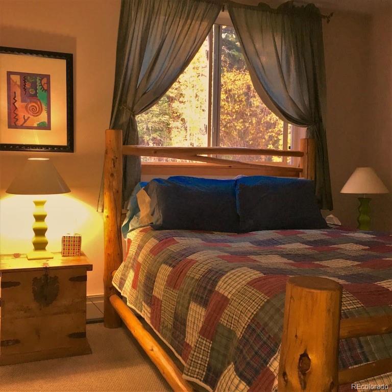MLS Image #9 for 137  fall river road,idaho springs, Colorado