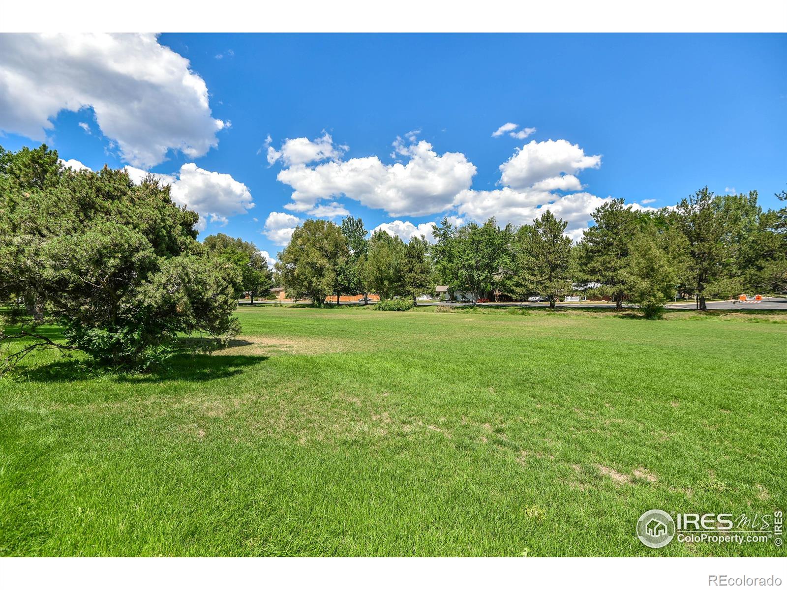 MLS Image #15 for 1300  shamrock street,fort collins, Colorado