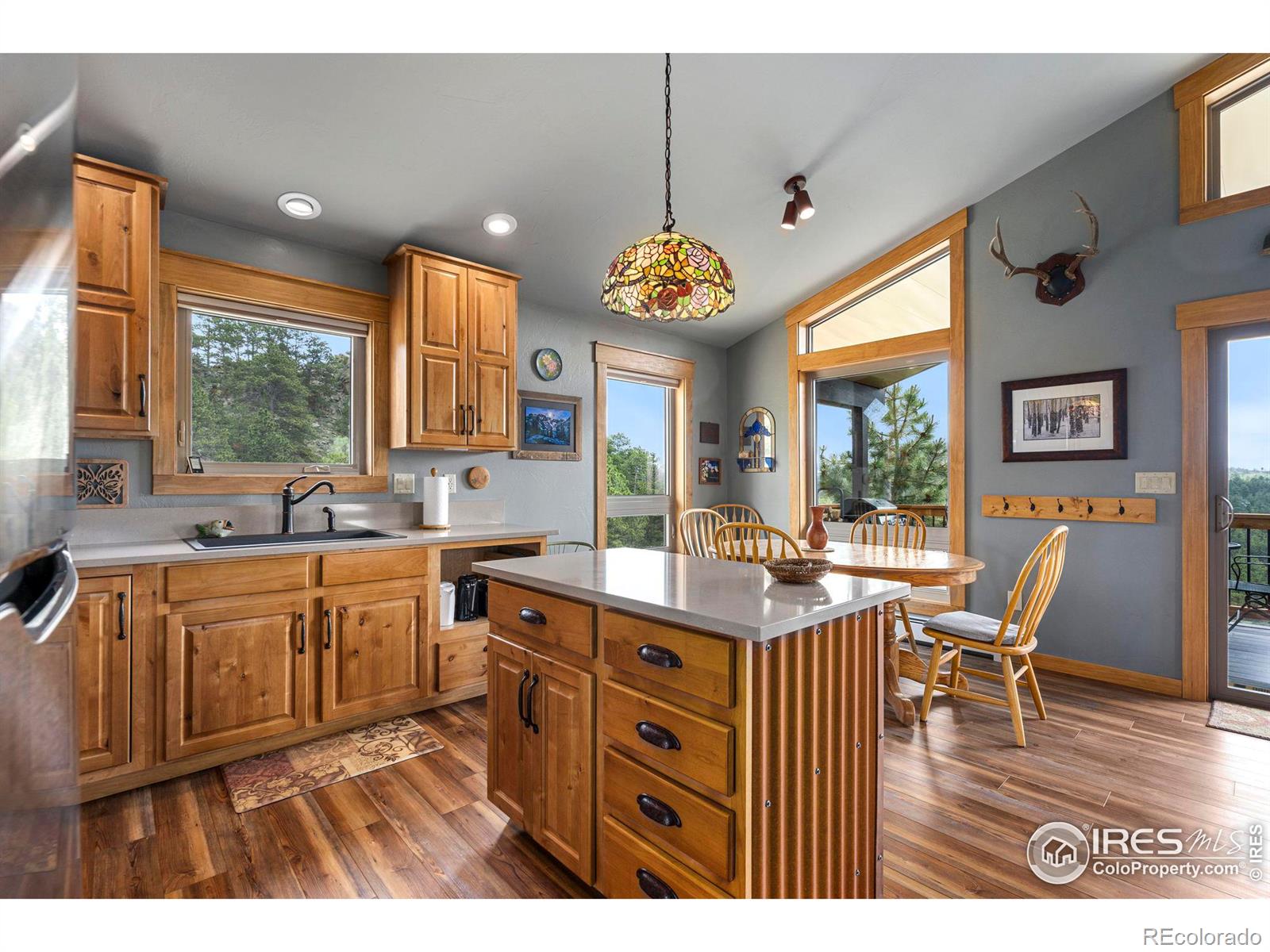 MLS Image #11 for 110  mill creek road,livermore, Colorado