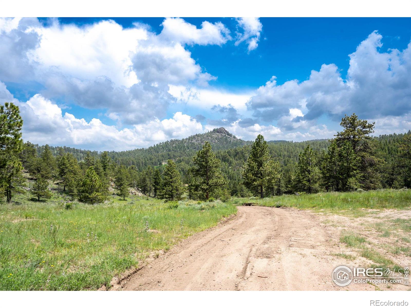 MLS Image #26 for 110  mill creek road,livermore, Colorado