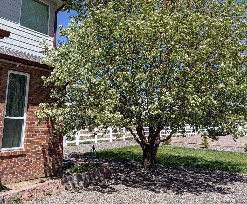 MLS Image #31 for 325  holly street,hudson, Colorado
