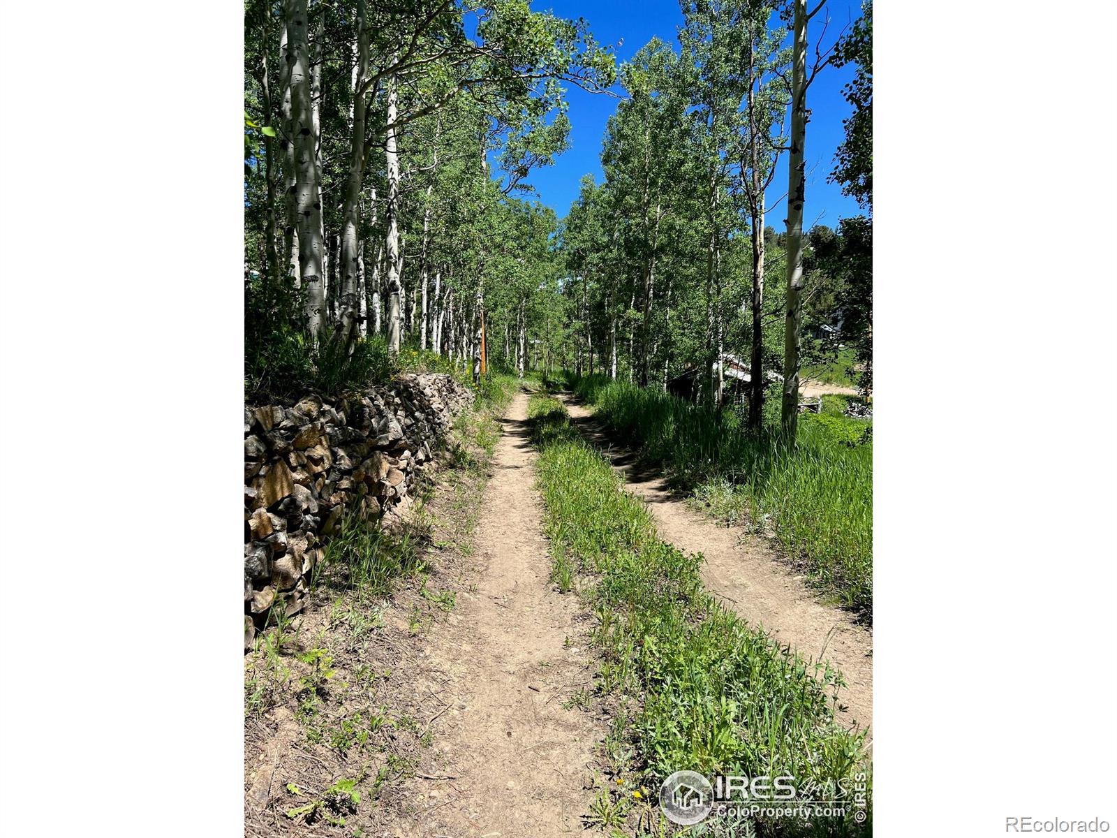 MLS Image #16 for 29  baxter street,ward, Colorado