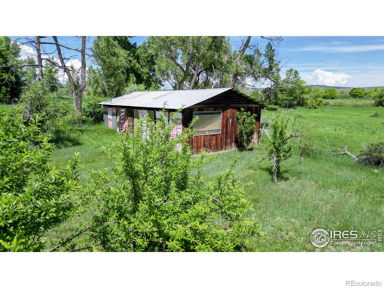 MLS Image #19 for 4617  highland drive,longmont, Colorado