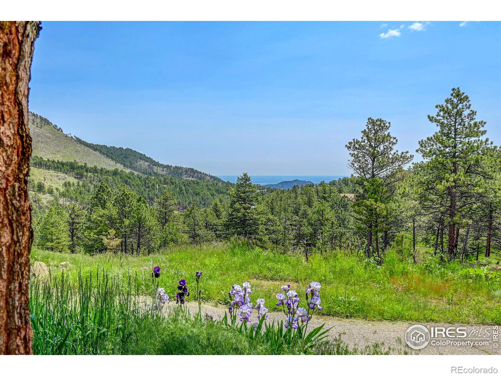 Report Image for 493  County Road 83 ,Boulder, Colorado