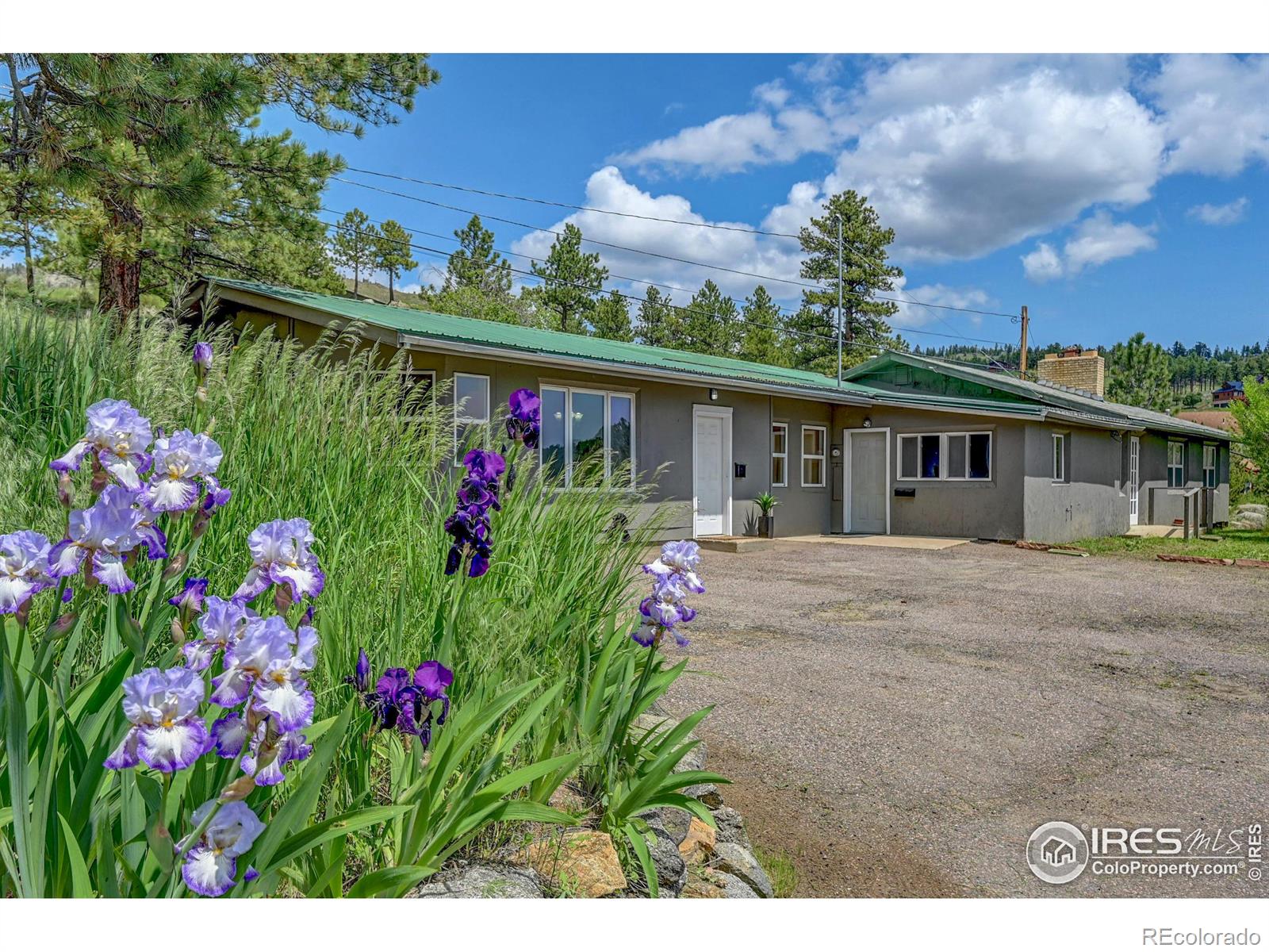 MLS Image #3 for 493  county road 83 ,boulder, Colorado