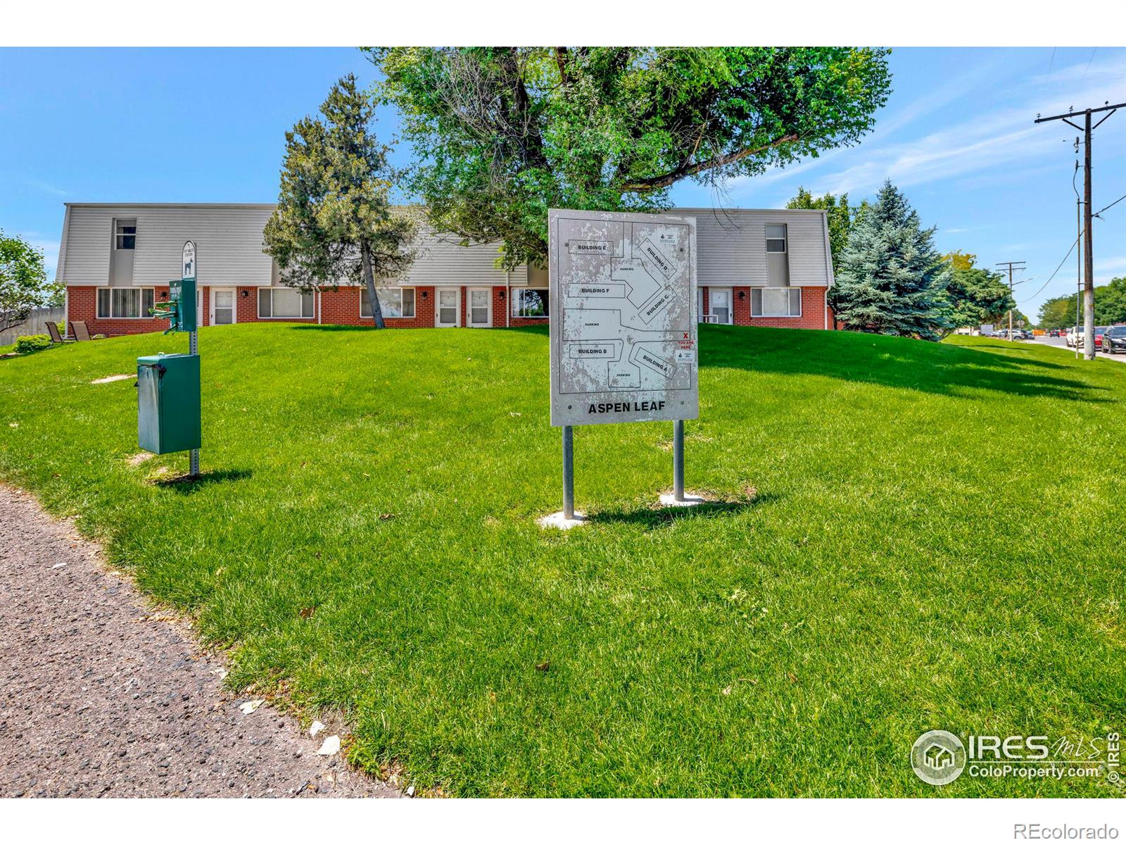MLS Image #3 for 711  3rd street,windsor, Colorado