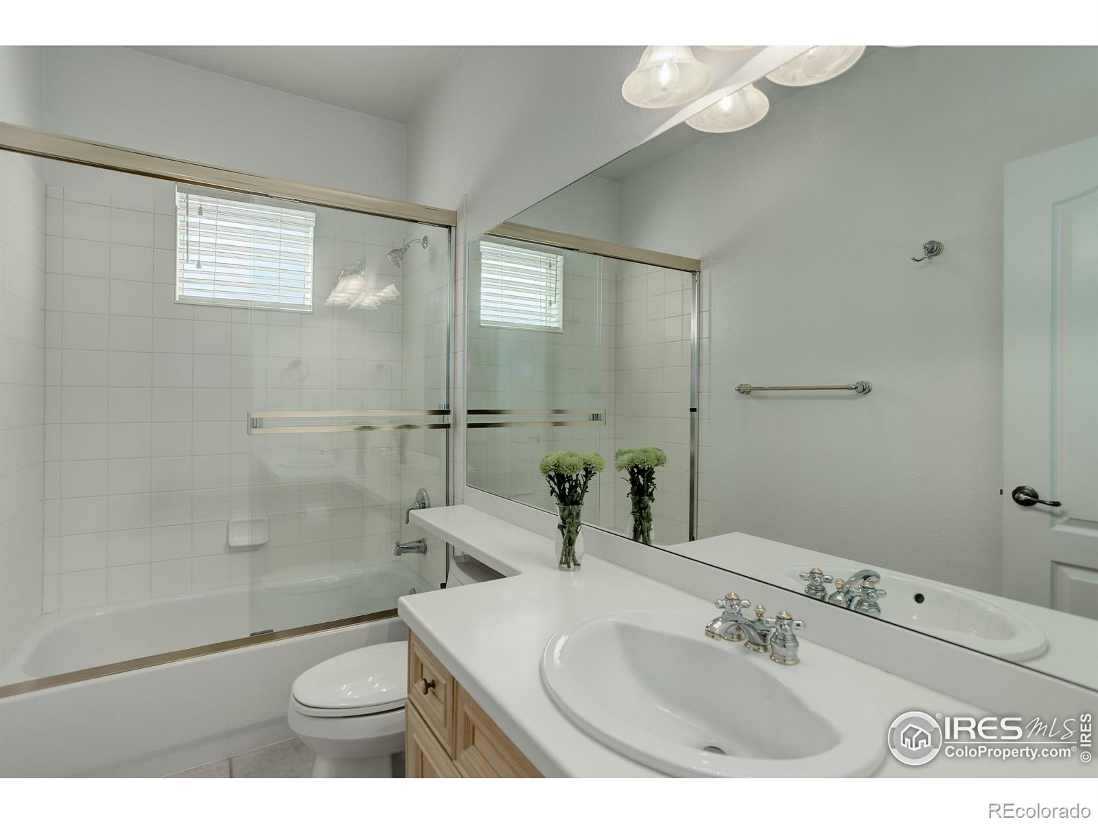 MLS Image #14 for 3733  florentine circle,longmont, Colorado