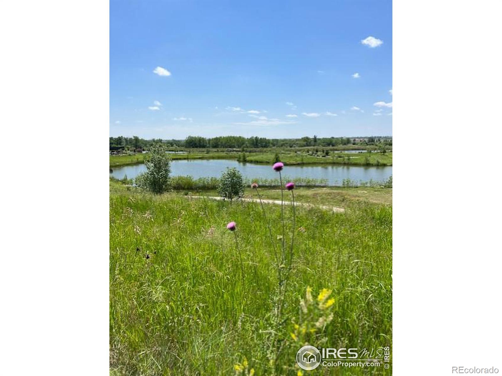 MLS Image #36 for 5225  inland avenue,firestone, Colorado