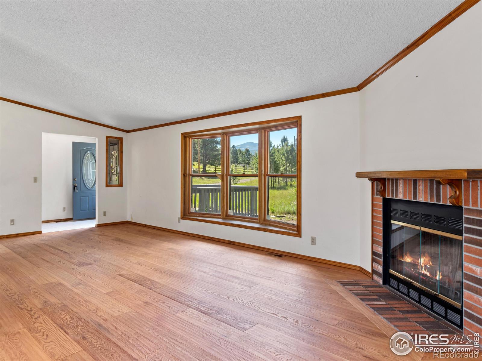 MLS Image #4 for 2955  broadview lane,estes park, Colorado