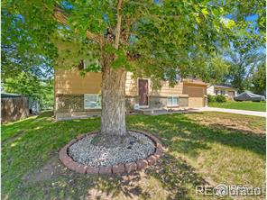 MLS Image #0 for 1906  corriedale court,fort collins, Colorado