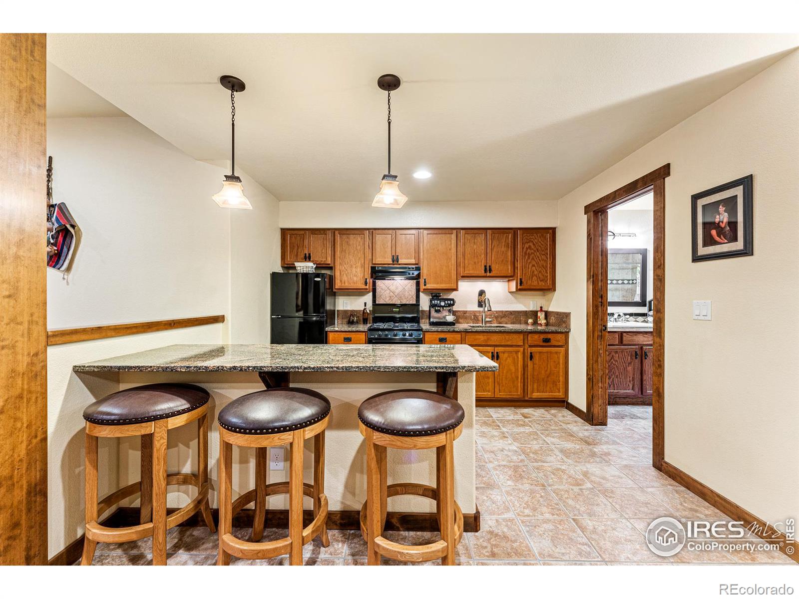 MLS Image #26 for 8880  longs peak circle,windsor, Colorado