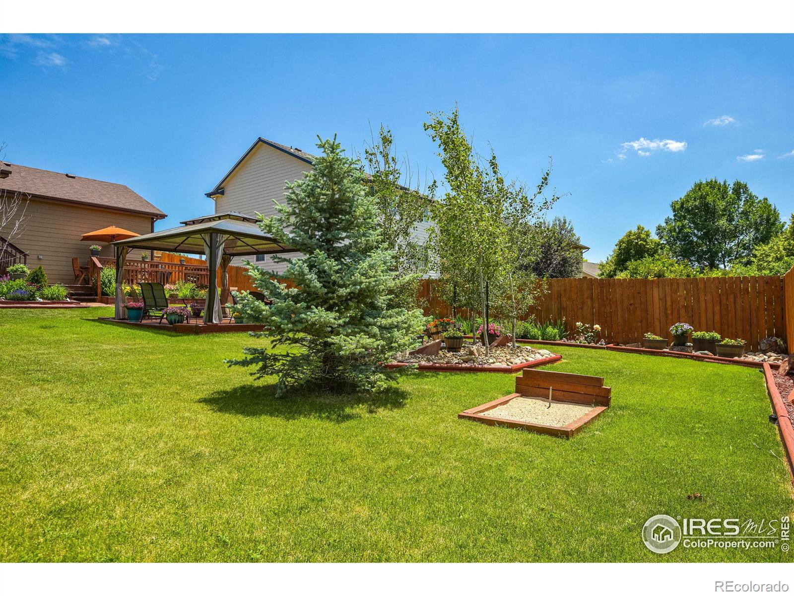 MLS Image #11 for 229  timber ridge court,severance, Colorado