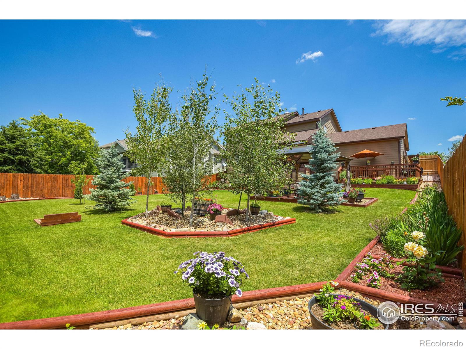 MLS Image #12 for 229  timber ridge court,severance, Colorado