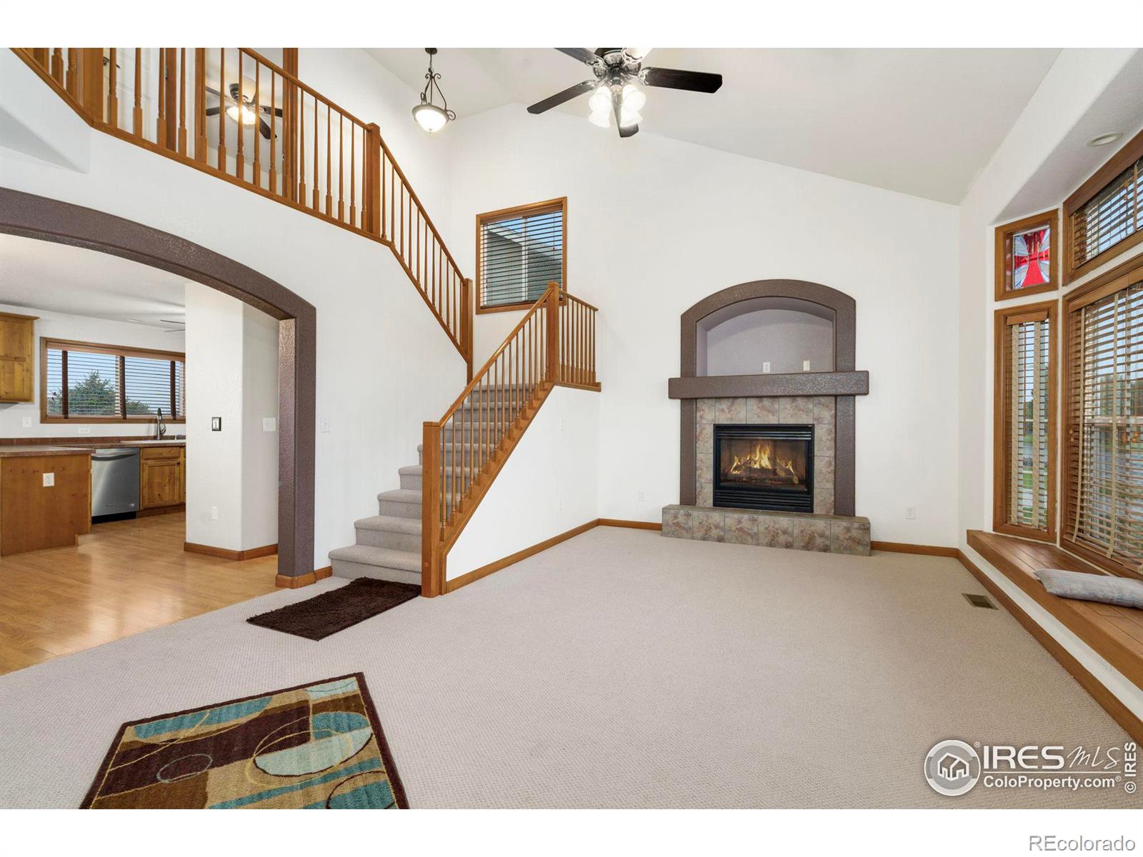 MLS Image #16 for 229  timber ridge court,severance, Colorado