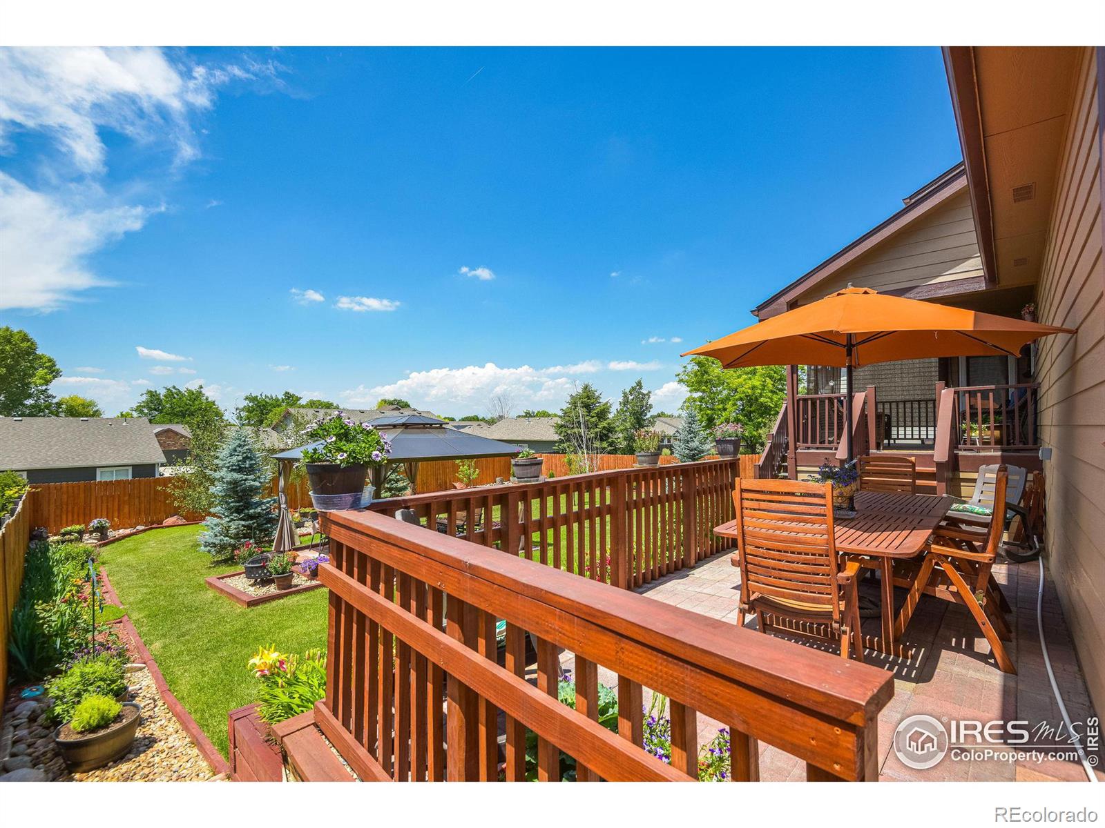 MLS Image #5 for 229  timber ridge court,severance, Colorado