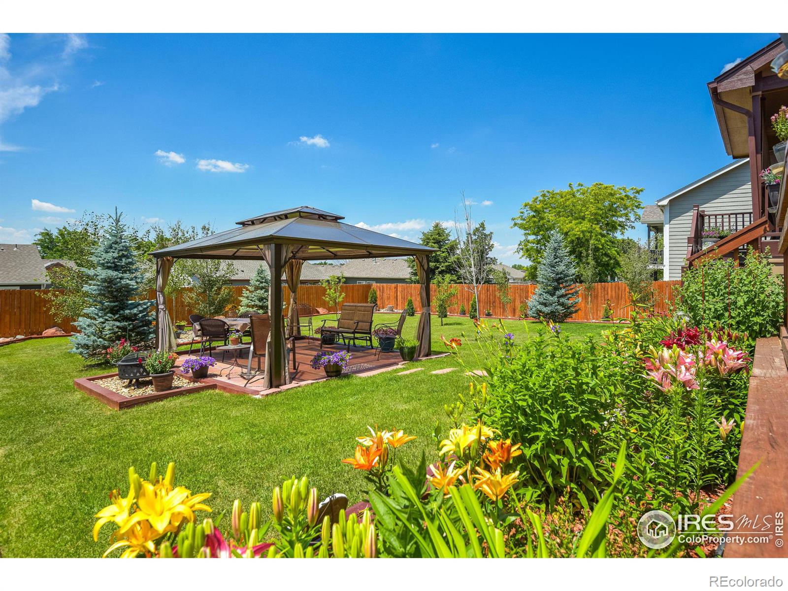 MLS Image #6 for 229  timber ridge court,severance, Colorado