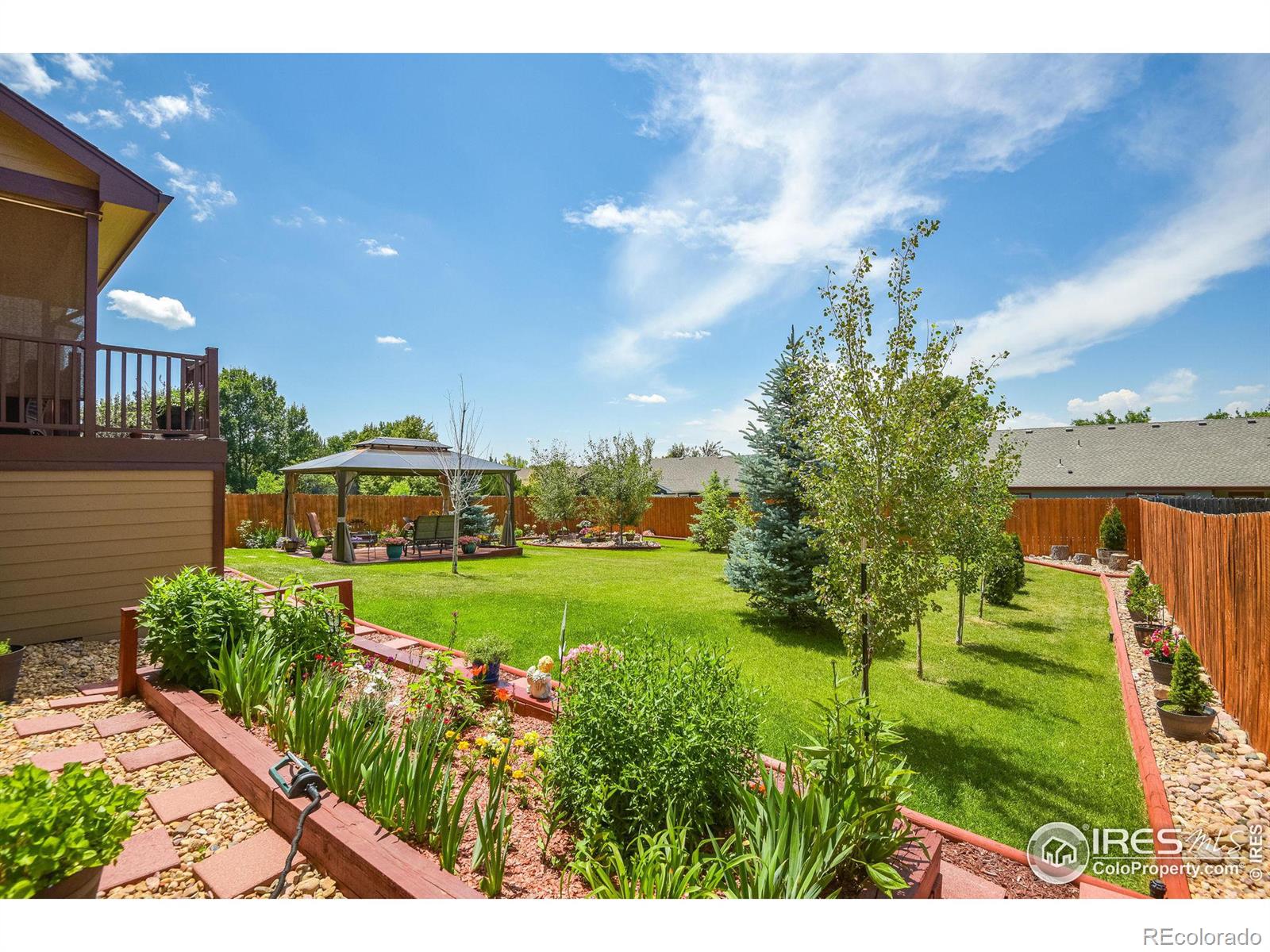 MLS Image #9 for 229  timber ridge court,severance, Colorado