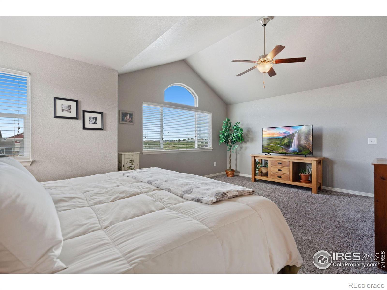 MLS Image #19 for 1509  cirque valley lane,severance, Colorado