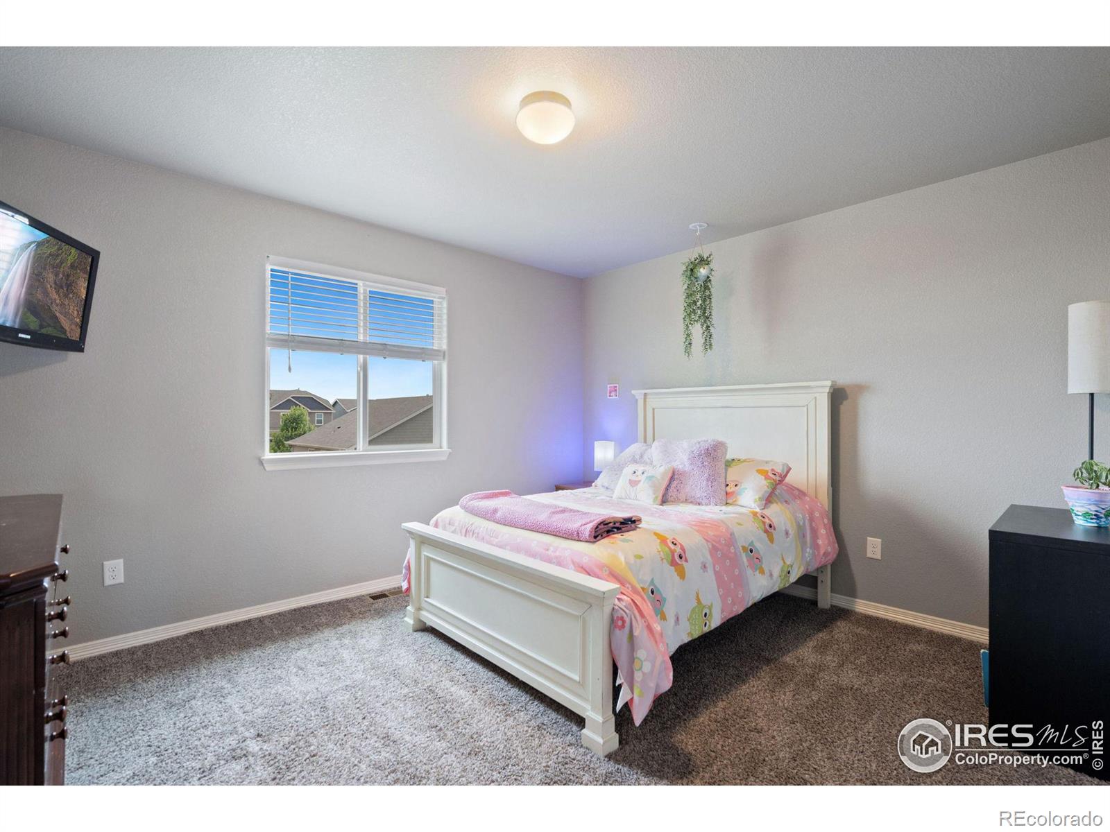 MLS Image #24 for 1509  cirque valley lane,severance, Colorado