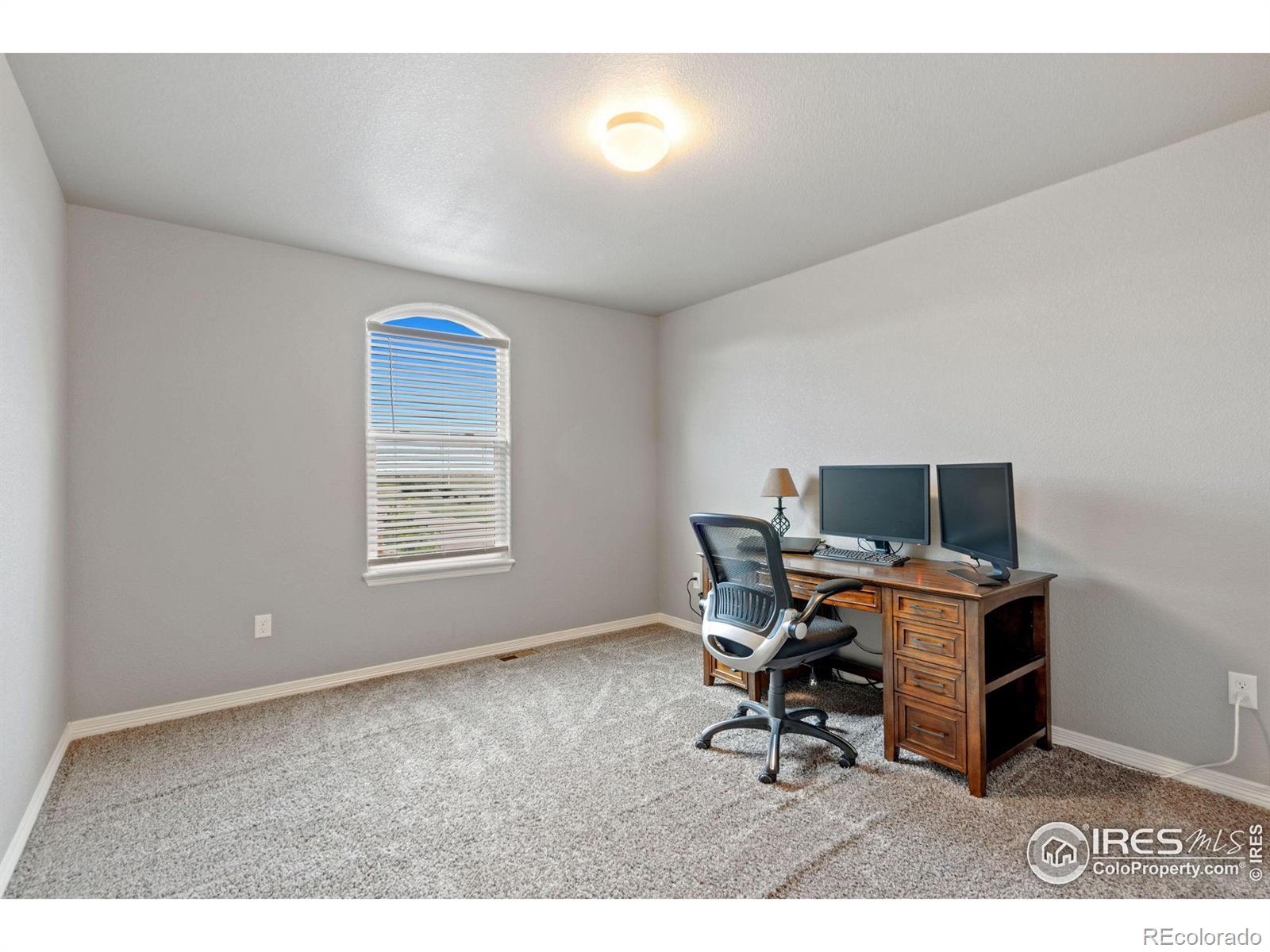 MLS Image #30 for 1509  cirque valley lane,severance, Colorado