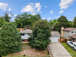 MLS Image #0 for 4635  bluestem lane,colorado springs, Colorado