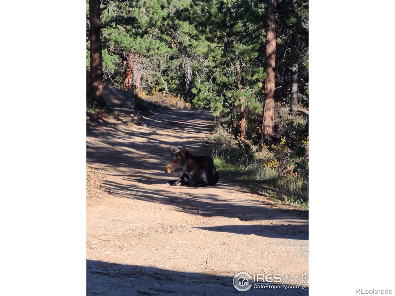 MLS Image #35 for 50  pine drive,lyons, Colorado