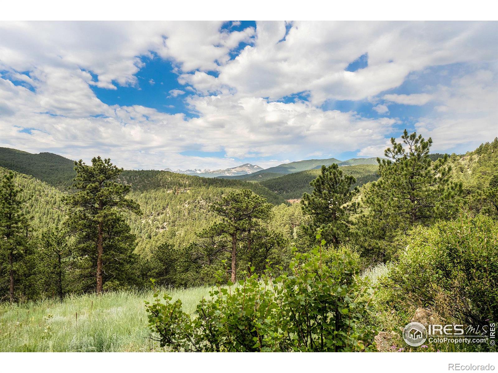 MLS Image #38 for 50  pine drive,lyons, Colorado