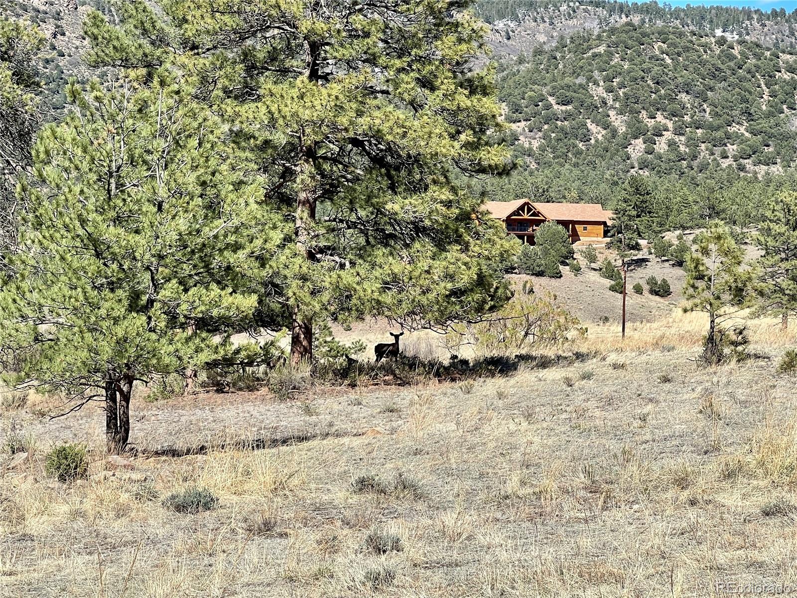 MLS Image #39 for 66  elk trail,westcliffe, Colorado