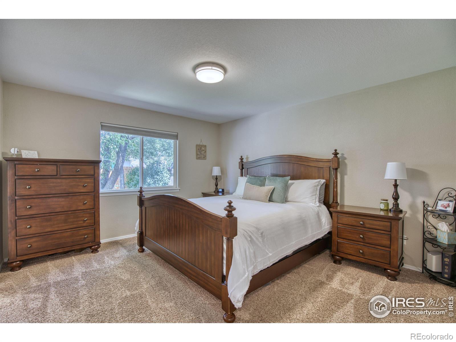 MLS Image #10 for 534  sherwood court,windsor, Colorado