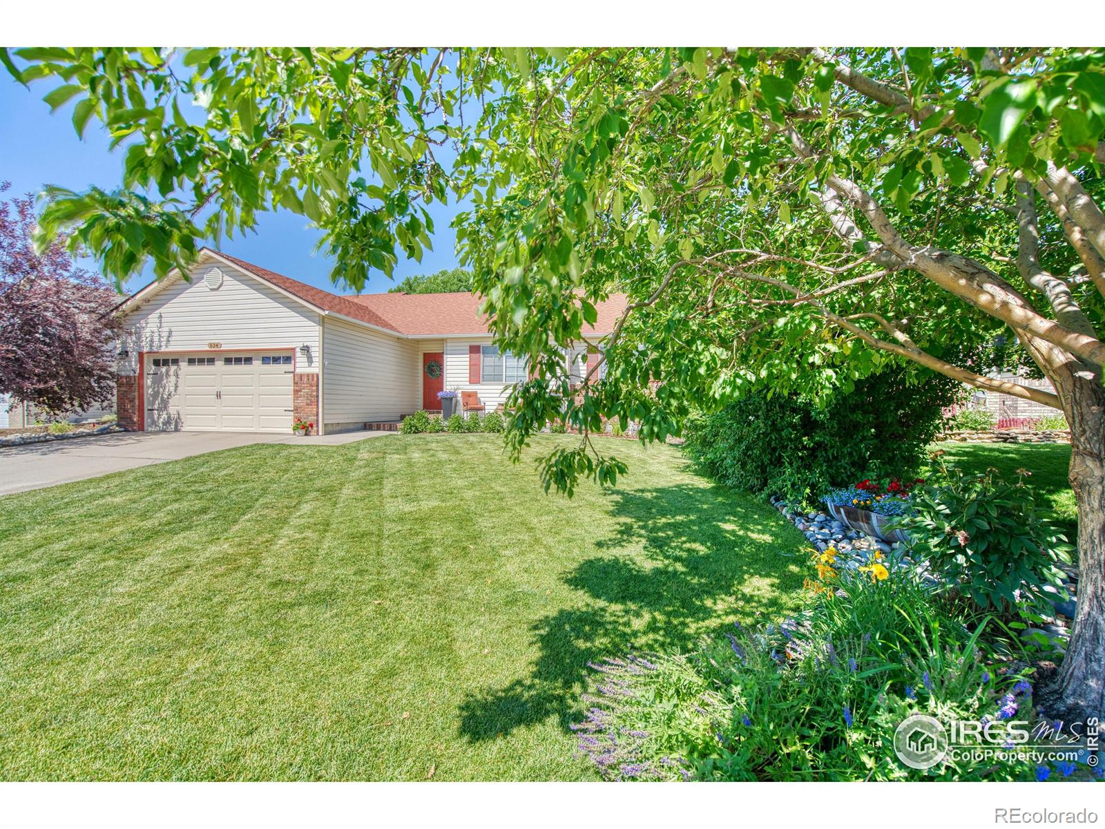 MLS Image #35 for 534  sherwood court,windsor, Colorado