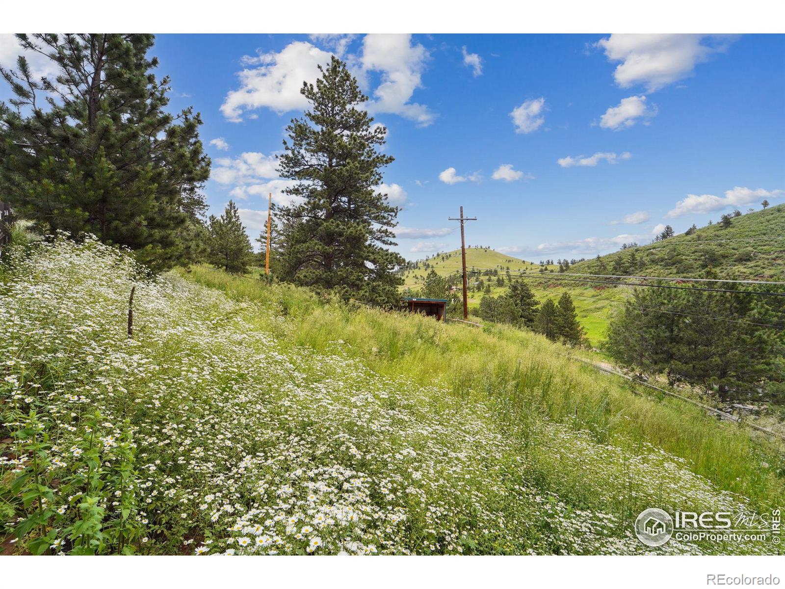 MLS Image #39 for 7193  olde stage road,boulder, Colorado