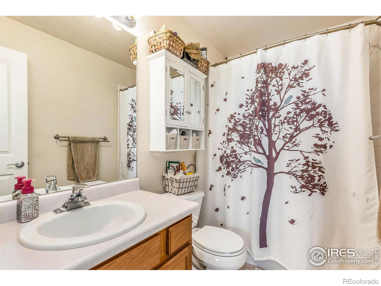 MLS Image #6 for 13900  lake song lane,broomfield, Colorado