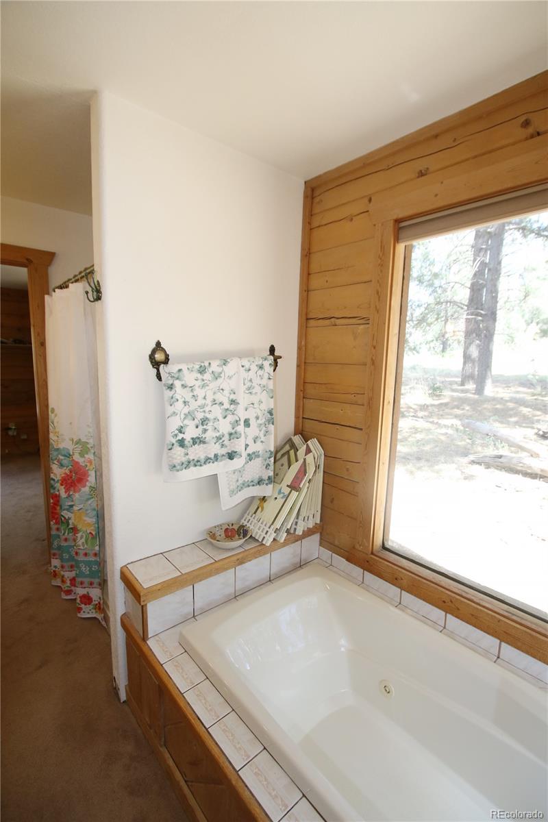 MLS Image #14 for 1106  county road 700 ,pagosa springs, Colorado